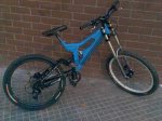 fox folat 017.jpg