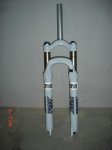 rl101.jpg