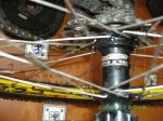 IMGP0491.jpg