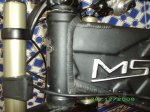 IMGP0495.jpg
