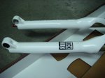 DSC01161.jpg