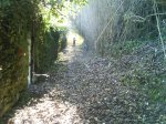 DSC00046.JPG