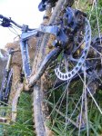 ollargan 2008 099.jpg