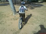 DSC02095.jpg