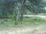 DSC02110.jpg