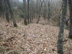 IMG_0007.jpg