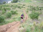 Resized La ruta de las variantes 005.jpg