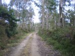 el camino del norte 568.JPG