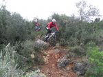 RIMG0134.JPG