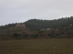 IMG_8346.JPG