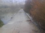 DSC00392.jpg
