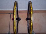 100_0431.jpg