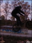 meicepick.jpg