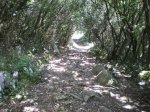 el camino del norte 164.JPG