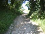 el camino del norte 258.JPG