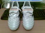 Mizuno.jpg