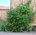 048_pics.jpg