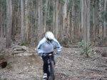 DSC00444.jpg