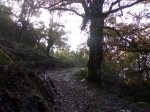 Alcornocales 30-12-08 015.jpg