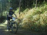DSC01381.jpg