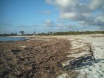 Cap Salines. des 001.jpg