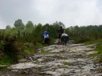 DSCN1852.jpg