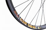 sun-ringle-370.jpg