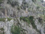 DSC00305.JPG