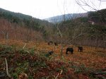 P1000567.JPG