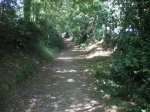 el camino del norte 424.JPG
