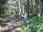 el camino del norte 429.JPG