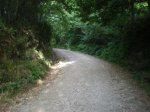 el camino del norte 438.JPG