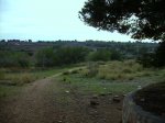 PICT0272.JPG