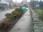P1010165.JPG
