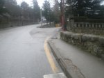 P1010166.JPG