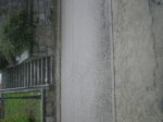 P1010169.JPG