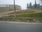 P1010175.JPG