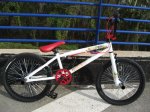 bmx 005.jpg