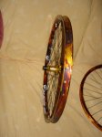 DSC06629b.JPG