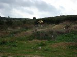 DSC01303.jpg