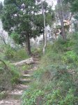 1st Cirer Singletrack Inspection (7).jpg