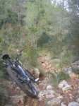 1st Cirer Singletrack Inspection (2).jpg