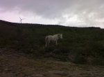 02012009035.jpg