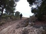 DSCF0009.jpg