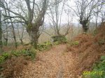 S5020110.JPG