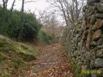 S5020117.JPG