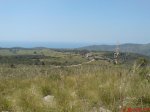 DSC00282.jpg