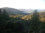 Image00005.jpg