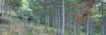 pano2.jpg