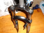 DSC02115.jpg